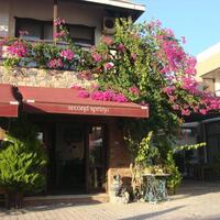 Genel Görünüm Galerisi