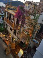 Genel Görünüm Galerisi