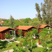 Genel Görünüm Galerisi