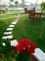 Genel Görünüm Galerisi