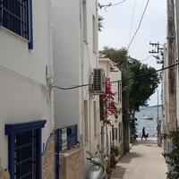 Genel Görünüm Galerisi