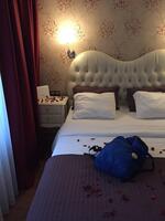 Oda Özellikleri Galerisi