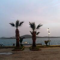 Havuz & Plaj Galerisi