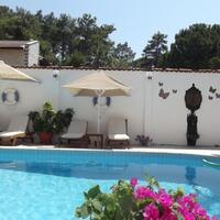 Genel Görünüm Galerisi