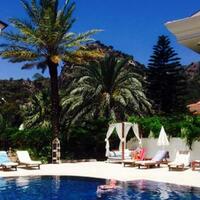 Havuz & Plaj Galerisi