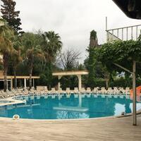 Havuz & Plaj Galerisi