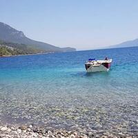 Havuz & Plaj Galerisi