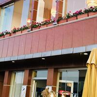 Müzik & Eğlence Galerisi