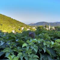 Genel Görünüm Galerisi