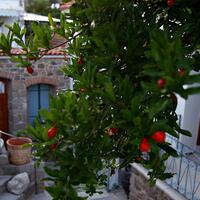 Oda Özellikleri Galerisi