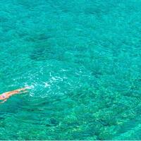 Havuz & Plaj Galerisi