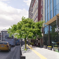 Genel Görünüm Galerisi