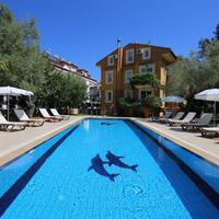 Genel Görünüm Galerisi