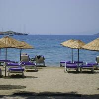 Havuz & Plaj Galerisi