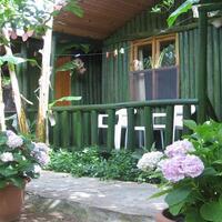 Genel Görünüm Galerisi