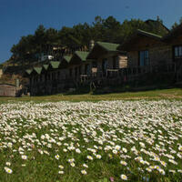 Genel Görünüm Galerisi