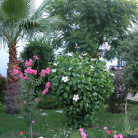 Genel Görünüm Galerisi