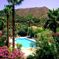 Havuz & Plaj Galerisi