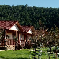 Genel Görünüm Galerisi