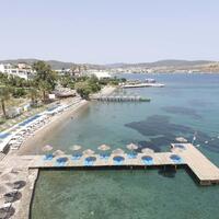 Havuz & Plaj Galerisi