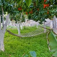 Bahçe & Oturma Alanları Galerisi