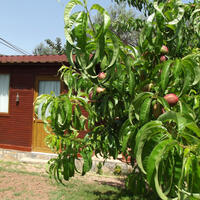 Genel Görünüm Galerisi