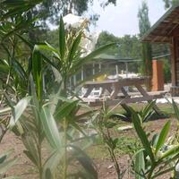 Bahçe & Oturma Alanları Galerisi