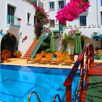 Genel Görünüm Galerisi