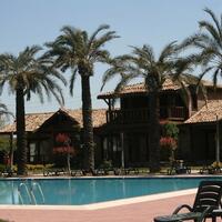 Havuz & Plaj Galerisi