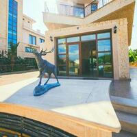 Genel Görünüm Galerisi