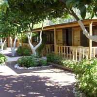 Genel Görünüm Galerisi