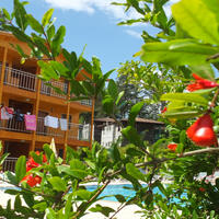 Genel Görünüm Galerisi