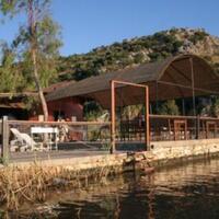 Genel Görünüm Galerisi