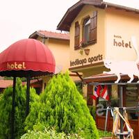 Genel Görünüm Galerisi