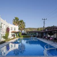 Genel Görünüm Galerisi