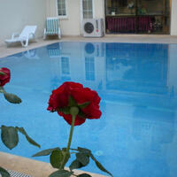 Otel Olanakları Galerisi