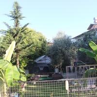 Genel Görünüm Galerisi