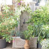 Bahçe & Oturma Alanları Galerisi