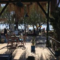 Genel Görünüm Galerisi