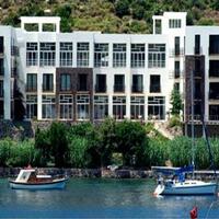 Genel Görünüm Galerisi