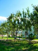 Bahçe & Oturma Alanları Galerisi