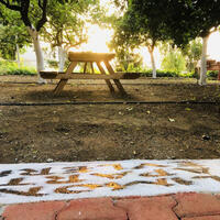 Bahçe & Oturma Alanları Galerisi