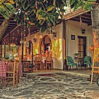 Genel Görünüm Galerisi