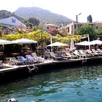 Genel Görünüm Galerisi