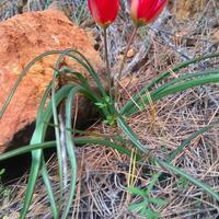 Bahçe & Oturma Alanları Galerisi