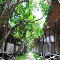 Genel Görünüm Galerisi