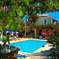 Genel Görünüm Galerisi