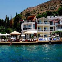 Genel Görünüm Galerisi