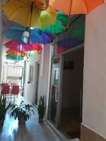 Genel Görünüm Galerisi