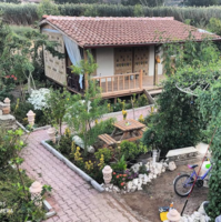 Genel Görünüm Galerisi